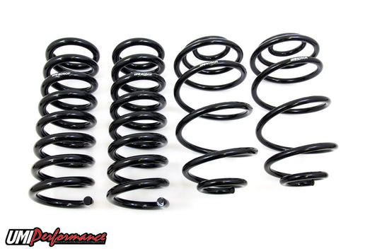 1964-1966 GM A Body Spring Kit